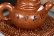 《掇球經霜傲雪灑金》