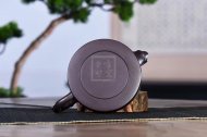 《竹節天際》宜興紫砂壺實力派名家壺柯老師紫泥實力派名家手工天際茶壺