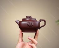 龍驤虎視