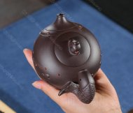魚樂