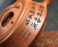 牛蓋竹節