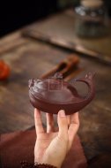 《魚(yú)躍龍門》