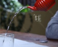 《筋紋笑櫻》