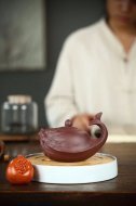《魚(yú)躍龍門》