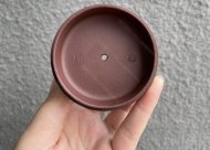 扭轉乾坤