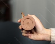 竹節(jié)石