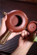 《竹節唐羽》