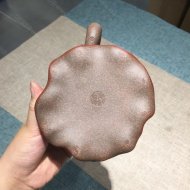 獨蓮
