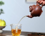 松針報春