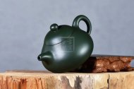 《鸚鵡茶寵》