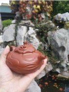 《風卷葵》