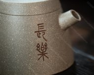 井象