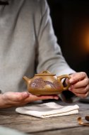 江南好，風景舊曾諳【平蓋子冶】