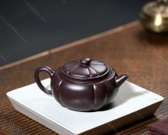 筋紋寶菱