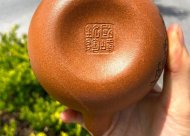 清風竹