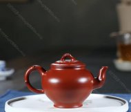 寒梅報春