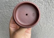 雄風(fēng)