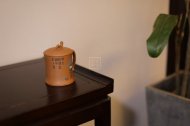 《繁花似景竹節蓋杯》經典紫砂壺宜興全手工泡茶壺茶具降坡泥