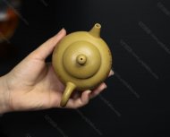 巨輪珠