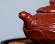 風卷葵
