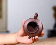 滿天星