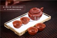 《旋紋扁櫻》