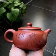 墩樸
