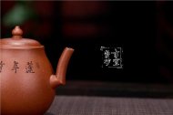 《蓮年有余》