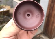 鴻運當頭