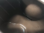 生機