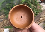 秦權