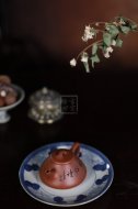 《石瓢》紫砂壺宜興助理工藝美術師手工降坡泥石瓢泡茶壺茶壺