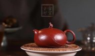 《一花一世界》宜興工藝美術師全手工紫砂壺茶壺老師大紅袍