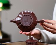 筋紋笑櫻