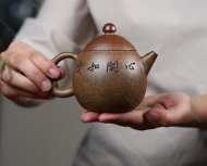 龍蛋