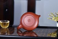 《靈鳥》宜興紫砂壺實力派名家純手工茶壺大紅袍