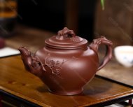 梅報春