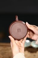 《魚(yú)樂(lè)》