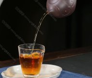 魚樂