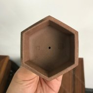 樂在其中
