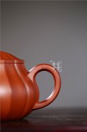 《八瓣菱花》